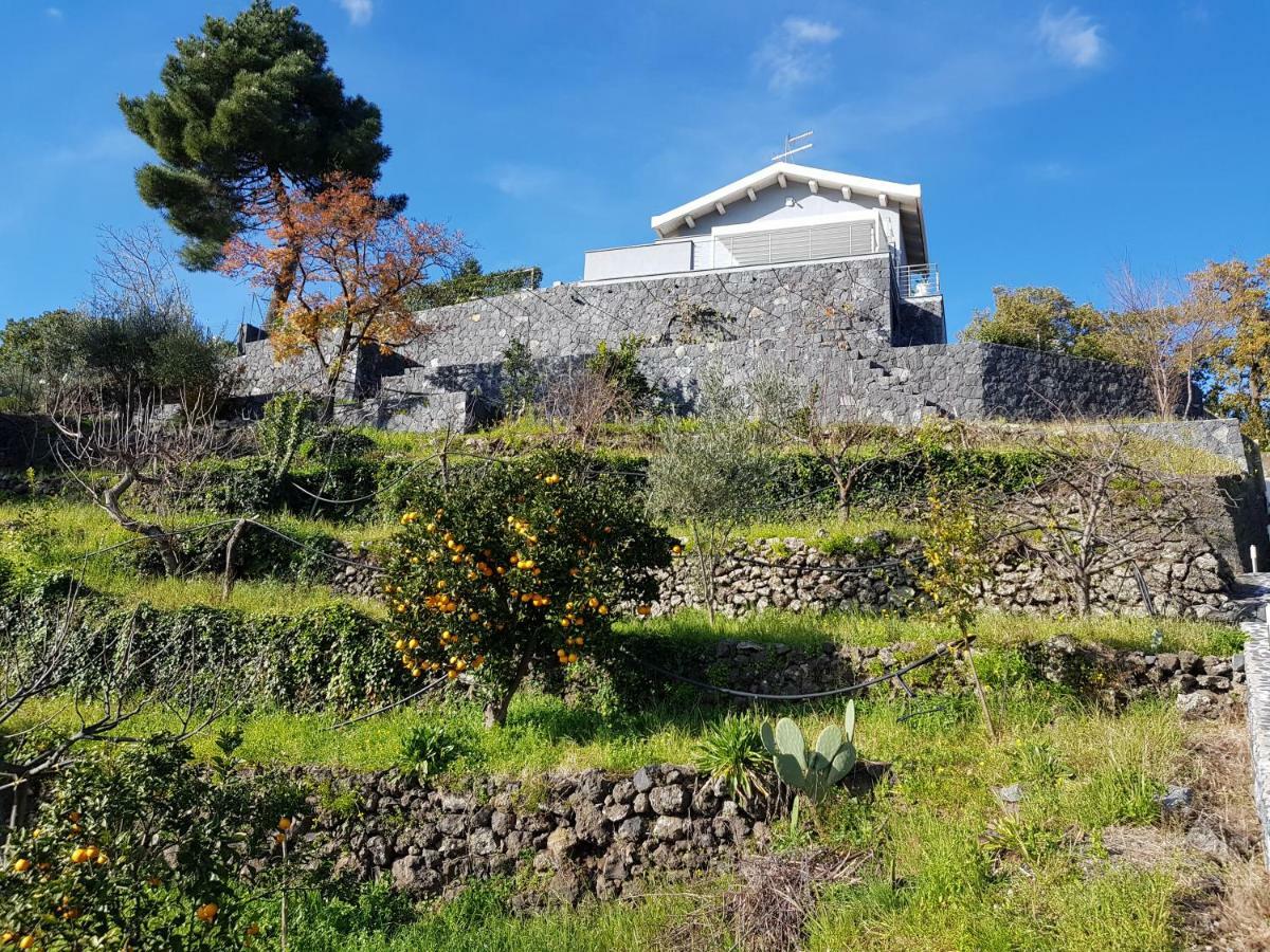 Design Villa In 皮耶迪蒙泰埃特内奥 外观 照片